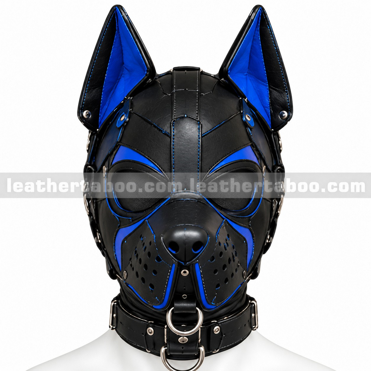 Front view of black and blue leather dog mask with pointed ears, mesh eye panels, perforated muzzle and metal rings on a white mannequin.
