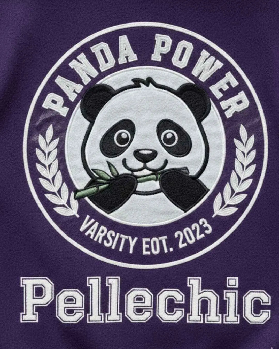 “Panda Power Purple Varsity Jacket – Trendy Pellechic Streetwear Varsity jacket
