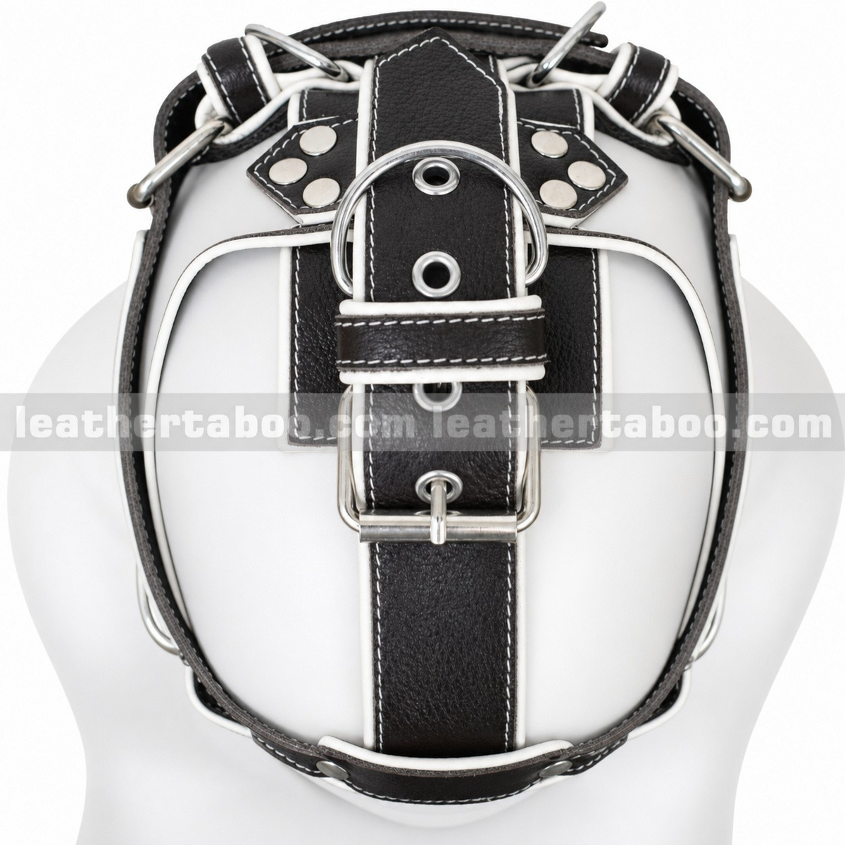 Top view of black leather head harness showing white-edged crown straps, adjustable buckle, metal eyelets and D-ring on a white mannequin.